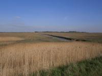 EY_Kilnsea_landscape_7665.JPG